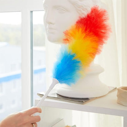 Ce Plumeau possède une touffe dense et volumineuse