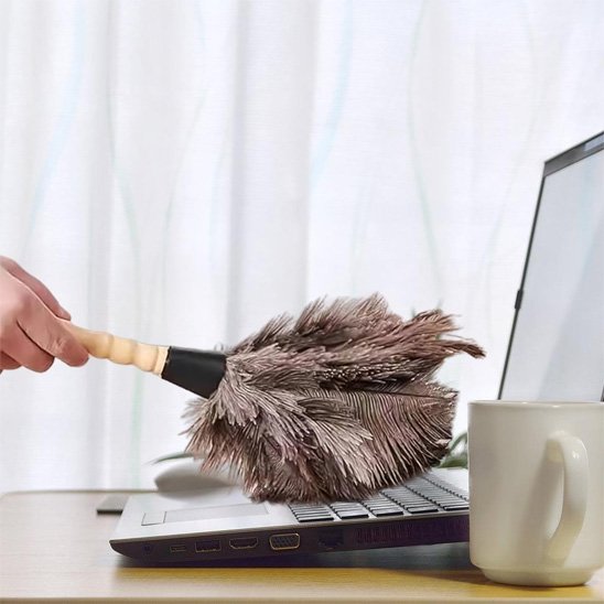 Le manche ergonomique du Plumeau est en bois naturel