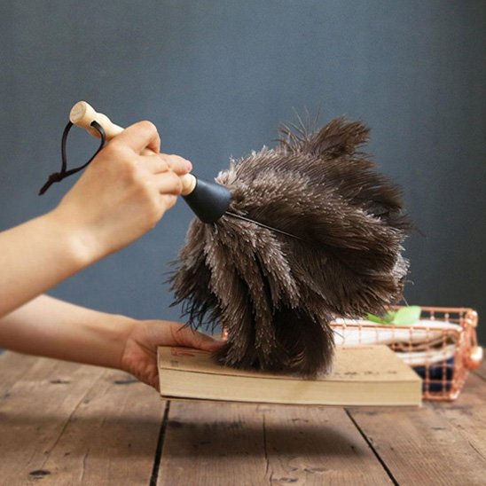 Mon Plumeau assure un dépoussiérage en un seul passage