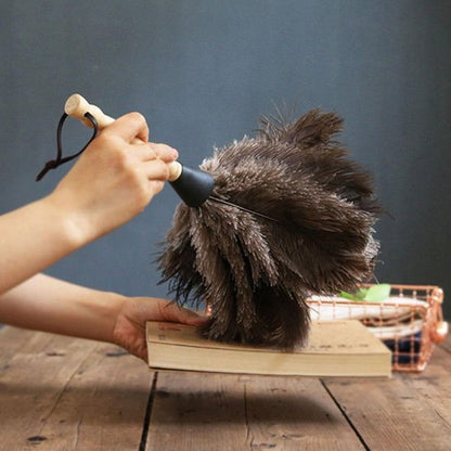 Mon Plumeau assure un dépoussiérage en un seul passage